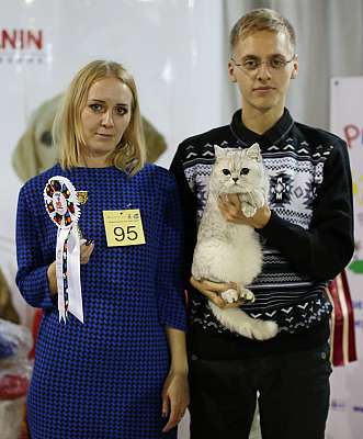 �������� ����� 22-23 ������ 2014, ������������ ��� �������� ����� 22-23 ������ 2014  ������������ ��� 169A8392 copy.jpg